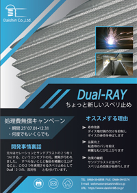 Dual RAY キャンペーン